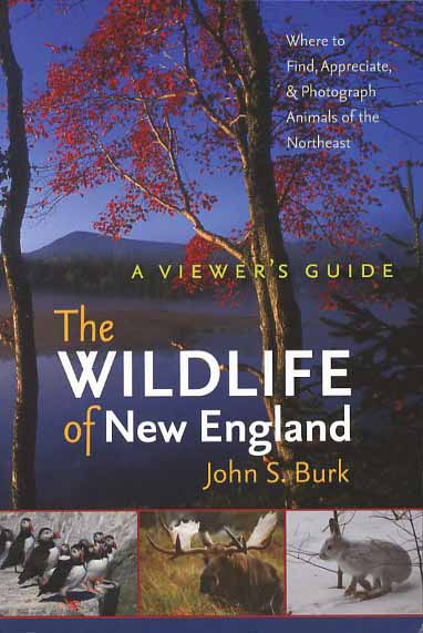 Wildlife of New England: A Viewer's Guide
